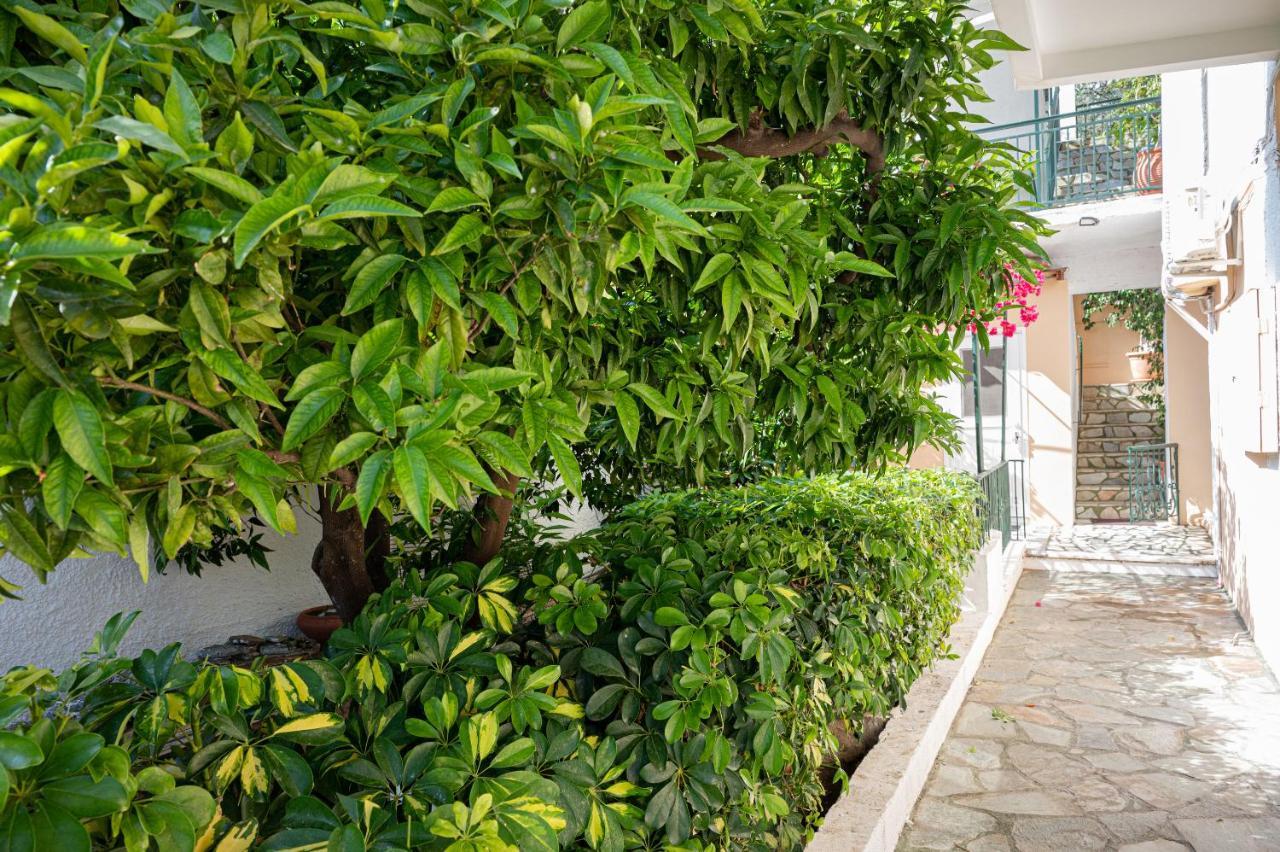 Villa Sofia Sea View Poros Town Exterior photo